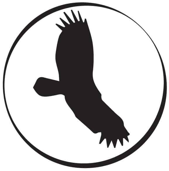 Self-Pub 101: Lessons Learned (Part 1)