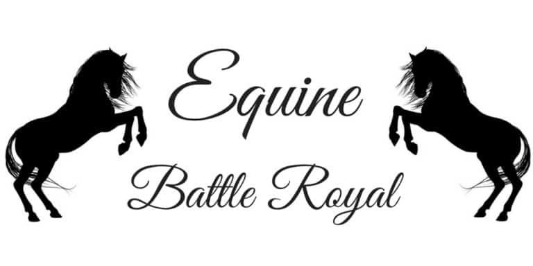 Equus Character Deathmatch
