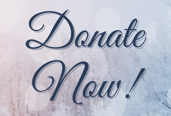 Donate Now to the Edmonton's Food Bank for Giftmas 2021