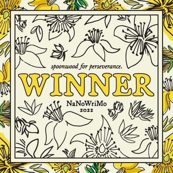 Post-NaNoWriMo Update